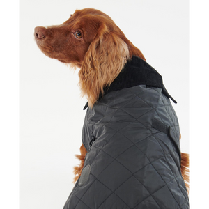 Mustassa tikatussa koirantakissa on musta samettikaulus.