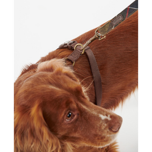 Kuvassa koiralla on Barbourin ruskeat valjaat joissa tartan- ruudulliset pehmusteosat.