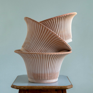 Daisy ruukussa on kaunis, ylöspäin aukeava muotoilu.