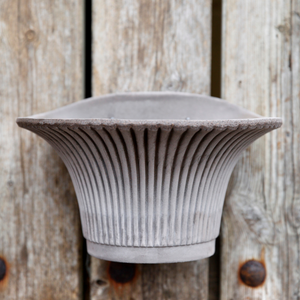 Daisy seinäruukussa on kaunis pystyraitakuviointi ja kaareva muoto.