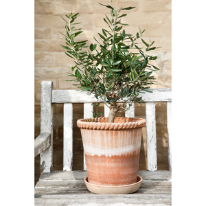 Emilia ruukun lasittamaton terrakottapinta on elävän näköinen ja sen väri tummuu kosteudessa.