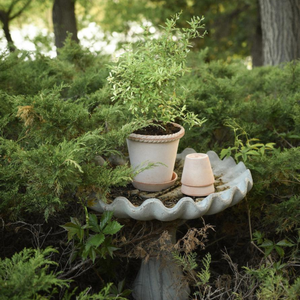 Ruukun korkea malli on erityisen hyvä syväjuurisille kasveille.