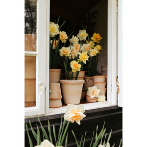 Emilia ruukku on saanut innoituksensa Italialaisesta Emilia-Romagnan maakunnasta.