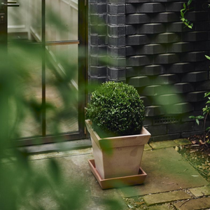 Gaia- ruukun yksinkertainen design antaa tilaa kasvien erilaisille muodoille.