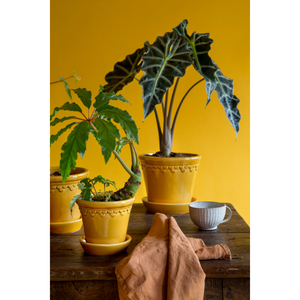 Keltainen lasitus korostaa kasvien värejä.