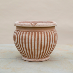 Piccolina ruukussa on kauniit käsin kaiverretut pystyurat.