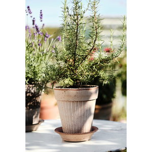 Simona ruukku sopii hyvin yrteille ja kesäkukille.