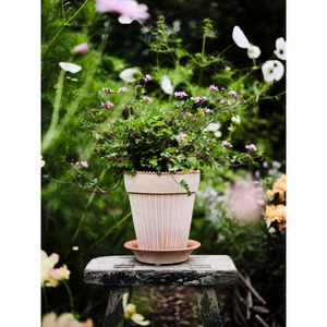 Simona ruukun ja aluslautasen yläreunassa on suloinen piparkakkureunus.