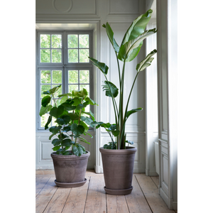 Harmaa Flora ruukku sopii monenlaiseen ympäristöön ja korostaa kasvien kauneutta.