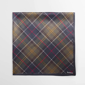 Barbour Kinsale huivi, sinivihreä