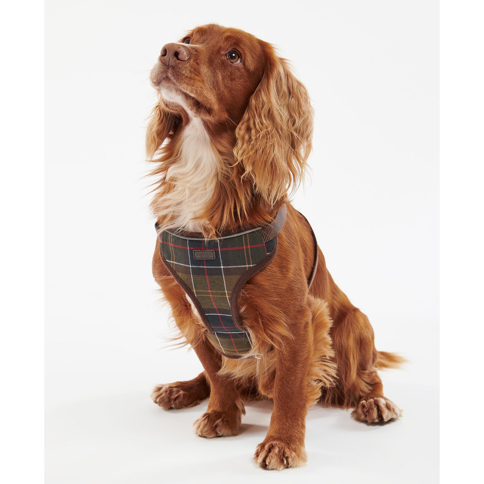 Barbour Travel And Exercise Dog Harness Koiran valjaat