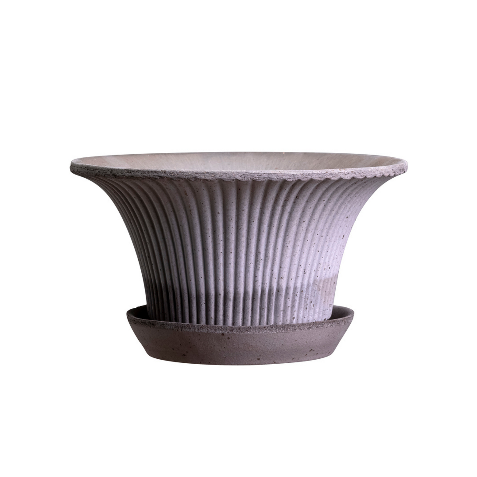 Daisy ruukkuun kuuluu myös aluslautanen.