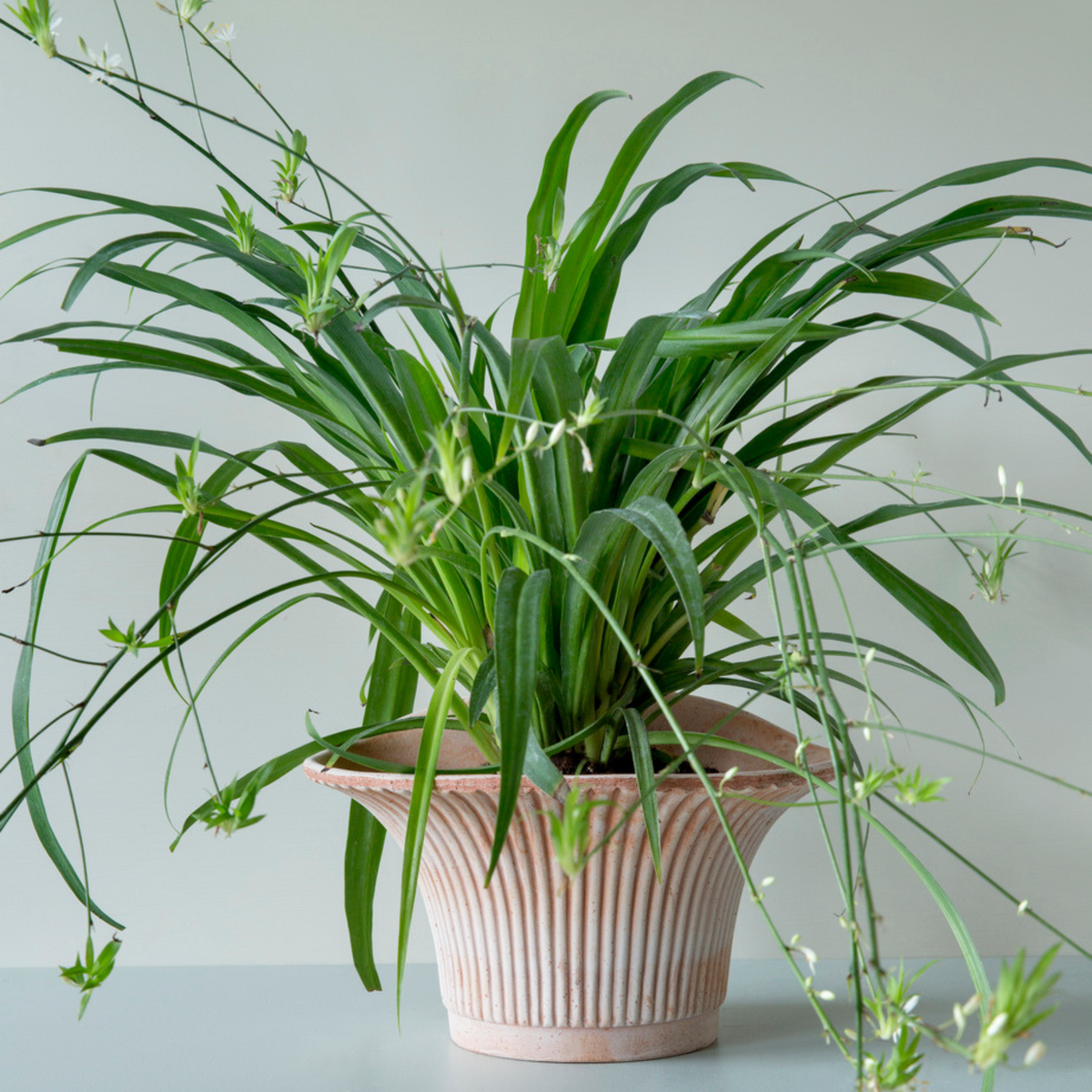 Ruukussa on suuri multatila kaarevan muodon ansiosta.