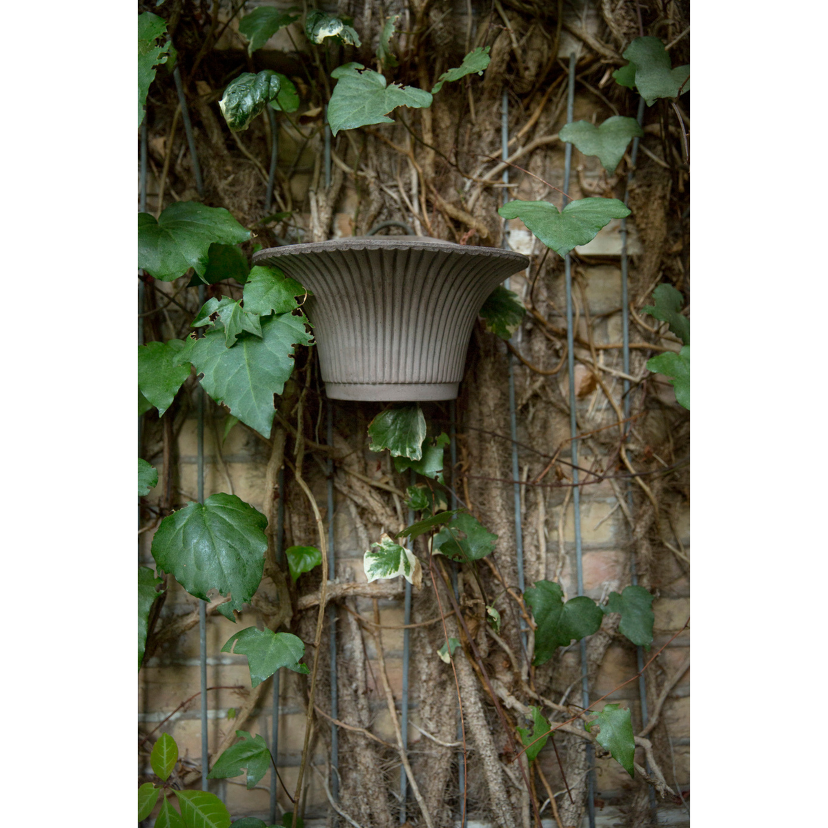 Ruukussa on pohjassa reikä josta ylimääräinen vesi pääsee pois.