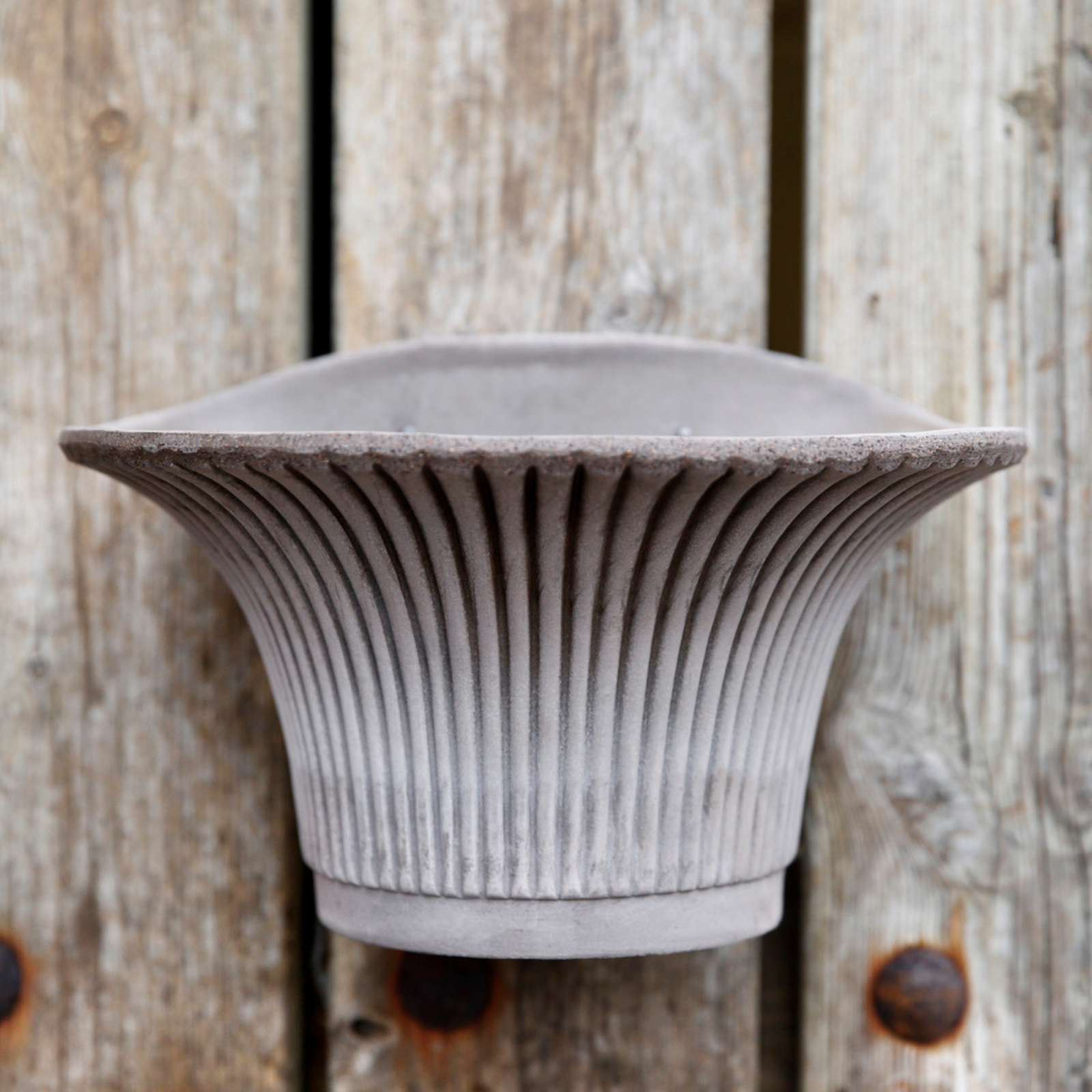 Daisy seinäruukussa on kaunis pystyraitakuviointi ja kaareva muoto.