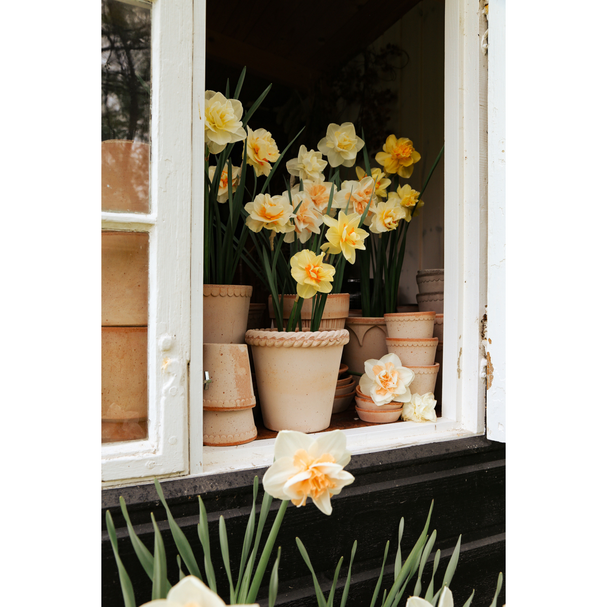 Emilia ruukku on saanut innoituksensa Italialaisesta Emilia-Romagnan maakunnasta.