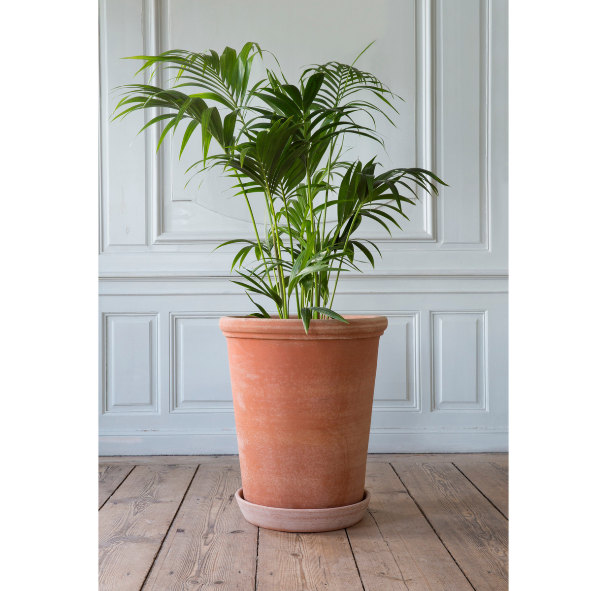 Flora ruukku sopii myös sisäkäyttöön.