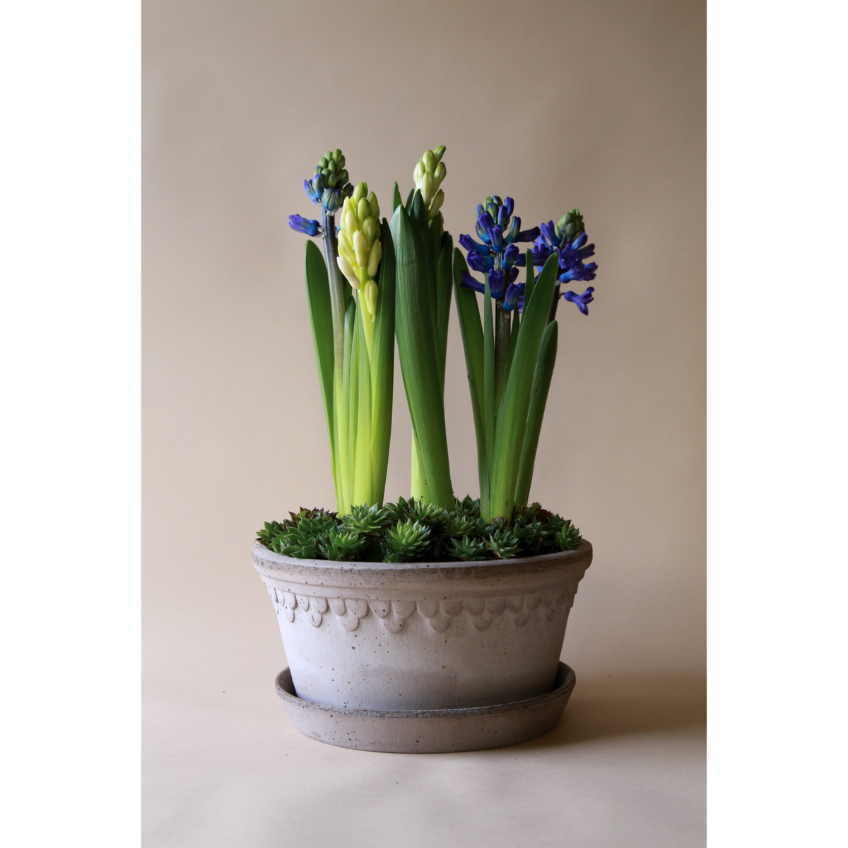 Laakea Kobenhavner ruukku sopii hyvin esimerkiksi kukka-asetelmiin.