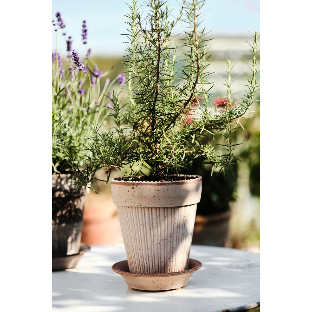 Simona ruukussa on kaunis pystyurakuviointi.