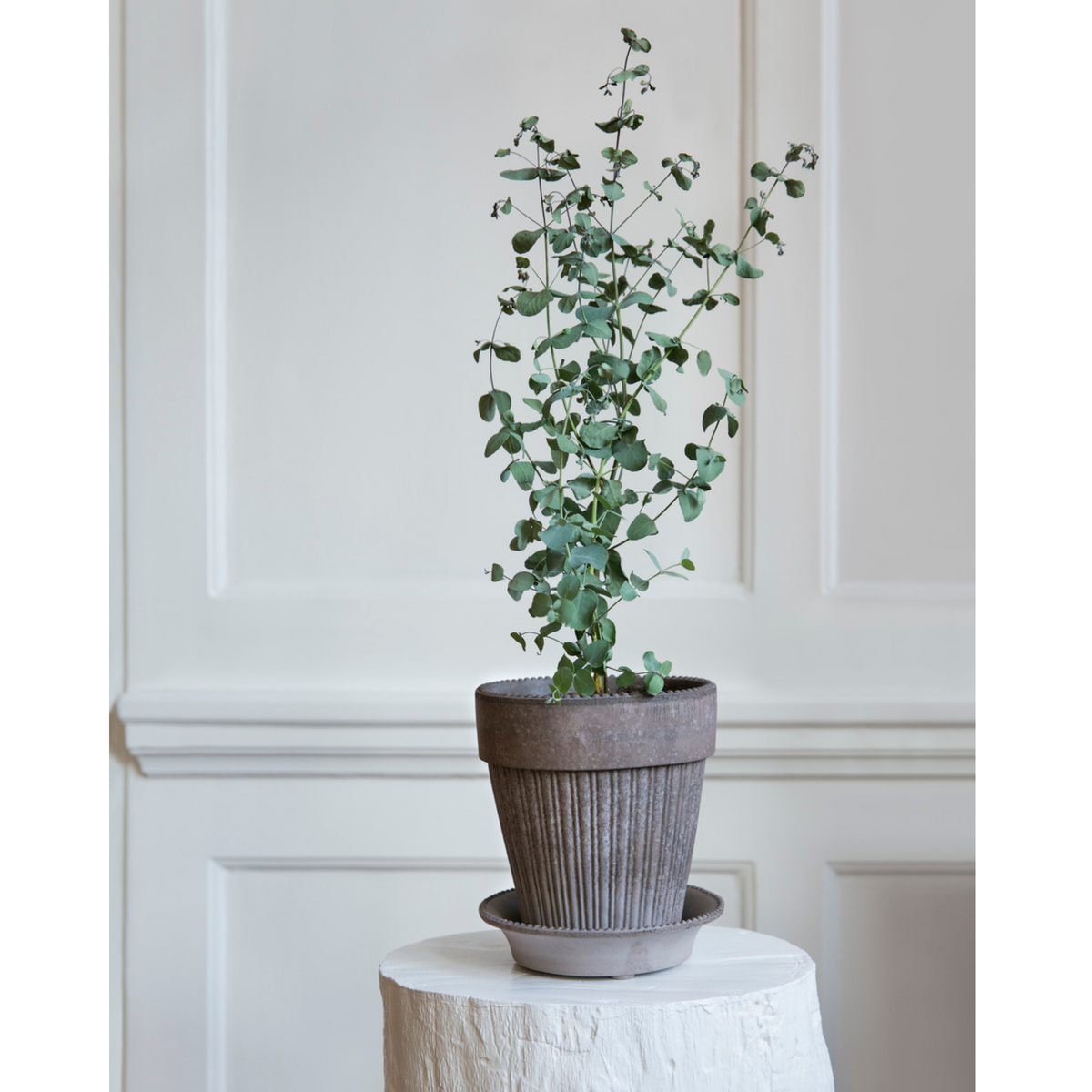 Simona ruukun kaunis pystykuviointi saa ruukun näyttämään sirolta.