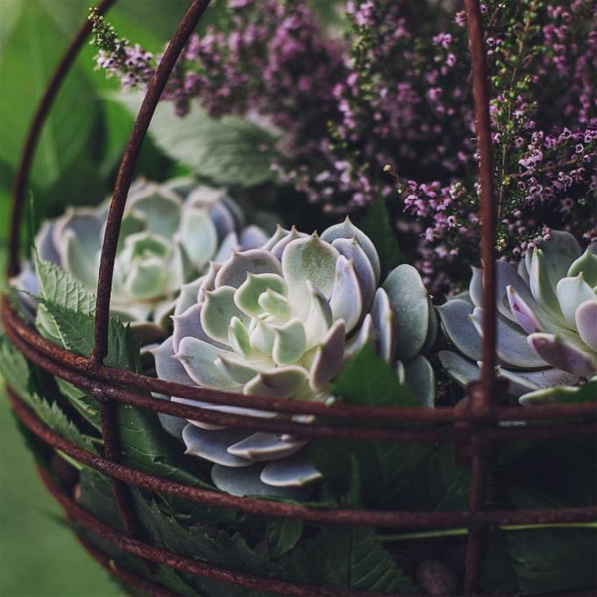 Kuvassa oleva pallon muotoinen amppeli on ruosteista metallia ja sen sisään voi laittaa kasvin, koristevalot tai vaikka kauniita käpyjä.